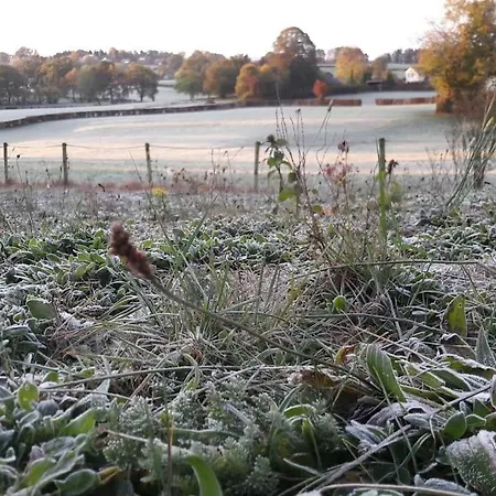 Walhome: Hohes Venn, 3 Grenzen, Walhorn