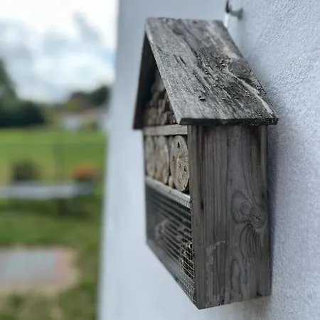 Walhome: Hohes Venn, 3 Grenzen, Appartamento Walhorn