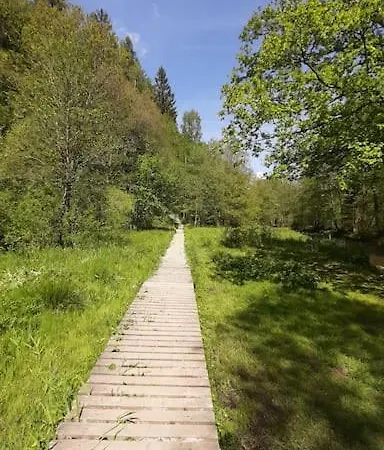 Appartement Walhome: Hohes Venn, 3 Grenzen, Walhorn