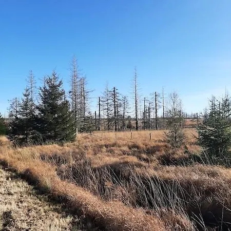 Walhome: Hohes Venn, 3 Grenzen,