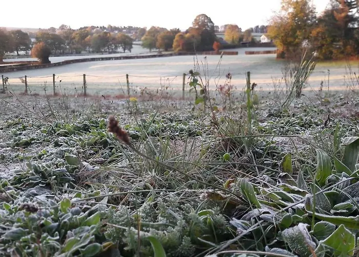 Walhome: Hohes Venn, 3 Grenzen, Walhorn