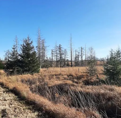 Walhome: Hohes Venn, 3 Grenzen,