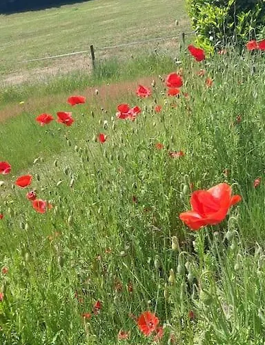 Appartement Walhome: Hohes Venn, 3 Grenzen, Walhorn